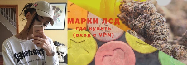 прущие грибы Зеленодольск