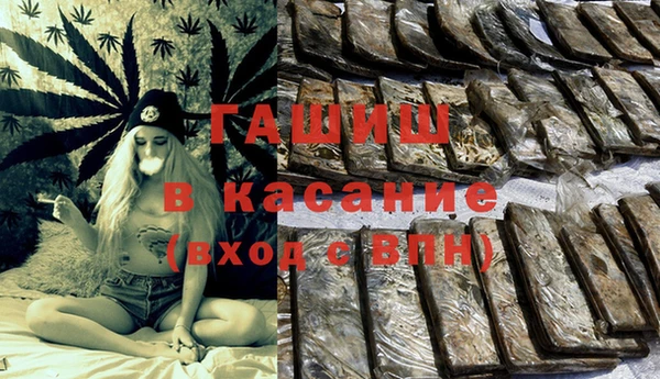 прущие грибы Зеленодольск