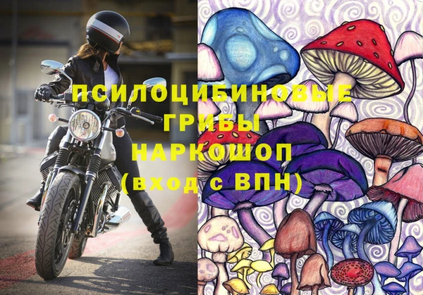 прущие грибы Зеленодольск