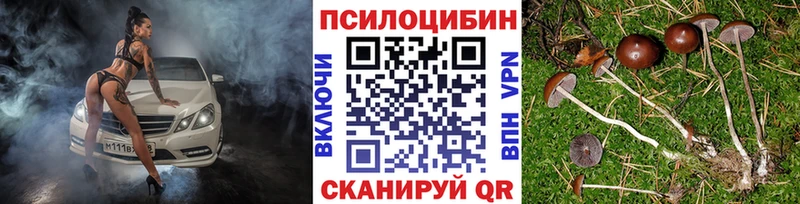 Купить закладки  Яблоновский  Галлюциногенные грибы Magic Shrooms 
